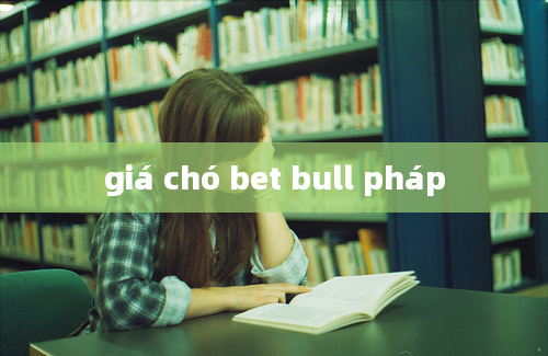 giá chó bet bull pháp