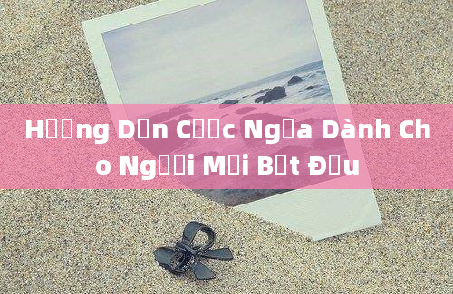 Hướng Dẫn Cược Ngựa Dành Cho Người Mới Bắt Đầu