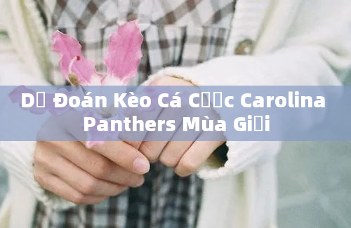 Dự Đoán Kèo Cá Cược Carolina Panthers Mùa Giải