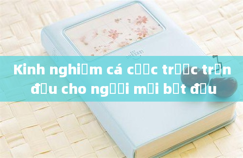 Kinh nghiệm cá cược trước trận đấu cho người mới bắt đầu