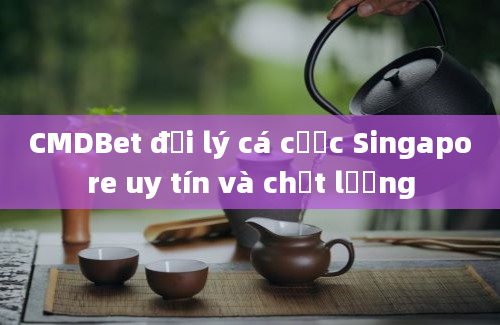 CMDBet đại lý cá cược Singapore uy tín và chất lượng