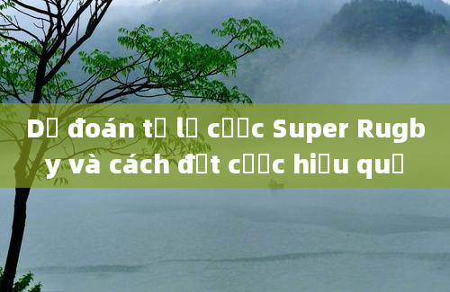 Dự đoán tỷ lệ cược Super Rugby và cách đặt cược hiệu quả