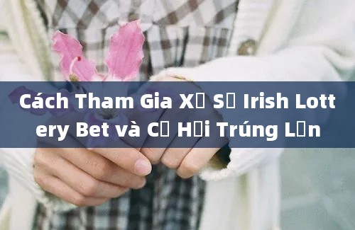 Cách Tham Gia Xổ Số Irish Lottery Bet và Cơ Hội Trúng Lớn