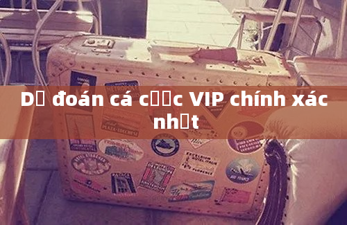 Dự đoán cá cược VIP chính xác nhất