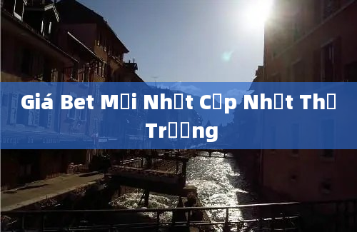 Giá Bet Mới Nhất Cập Nhật Thị Trường