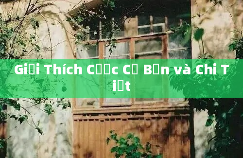 Giải Thích Cược Cơ Bản và Chi Tiết