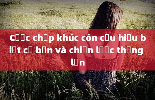 Cược chấp khúc côn cầu hiểu biết cơ bản và chiến lược thắng lớn