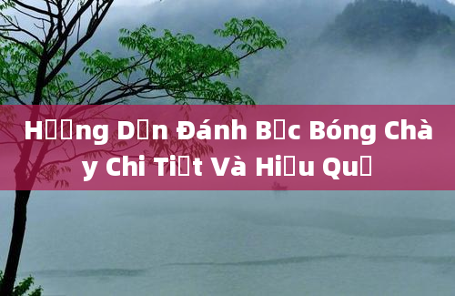 Hướng Dẫn Đánh Bạc Bóng Chày Chi Tiết Và Hiệu Quả