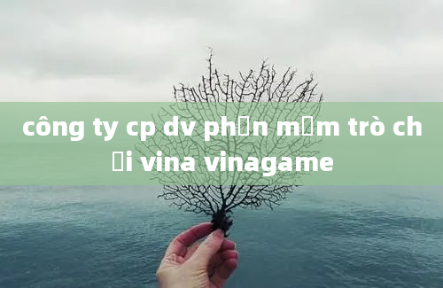 công ty cp dv phần mềm trò chơi vina vinagame