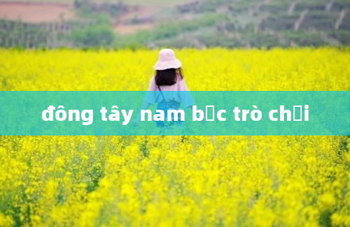 đông tây nam bắc trò chơi