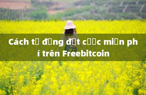 Cách tự động đặt cược miễn phí trên Freebitcoin