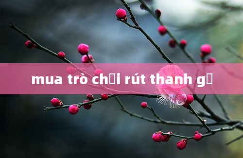 mua trò chơi rút thanh gỗ