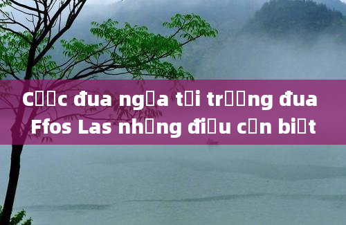 Cược đua ngựa tại trường đua Ffos Las những điều cần biết