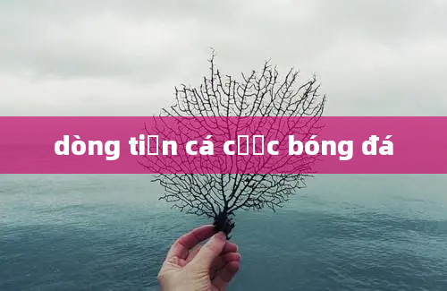 dòng tiền cá cược bóng đá