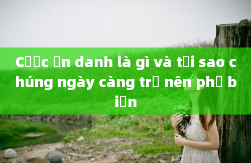 Cược ẩn danh là gì và tại sao chúng ngày càng trở nên phổ biến