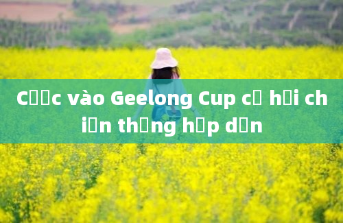 Cược vào Geelong Cup cơ hội chiến thắng hấp dẫn