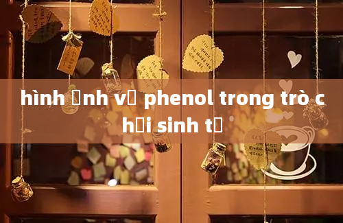 hình ảnh về phenol trong trò chơi sinh tử