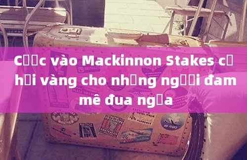 Cược vào Mackinnon Stakes cơ hội vàng cho những người đam mê đua ngựa