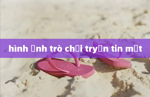 hình ảnh trò chơi tryền tin mật