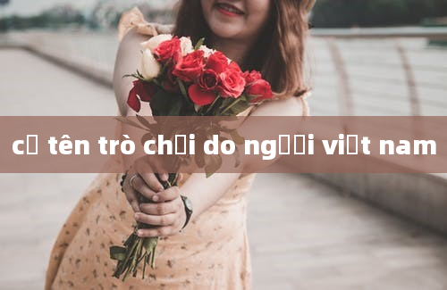 cờ tên trò chơi do người việt nam