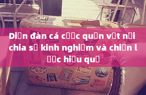 Diễn đàn cá cược quần vợt nơi chia sẻ kinh nghiệm và chiến lược hiệu quả