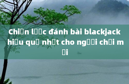 Chiến lược đánh bài blackjack hiệu quả nhất cho người chơi mới