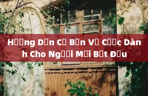 Hướng Dẫn Cơ Bản Về Cược Dành Cho Người Mới Bắt Đầu