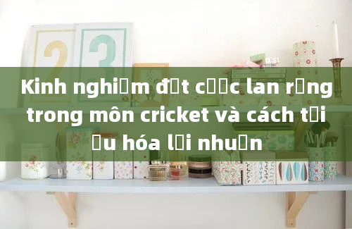 Kinh nghiệm đặt cược lan rộng trong môn cricket và cách tối ưu hóa lợi nhuận