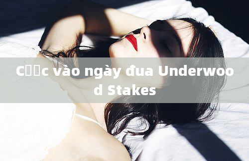 Cược vào ngày đua Underwood Stakes