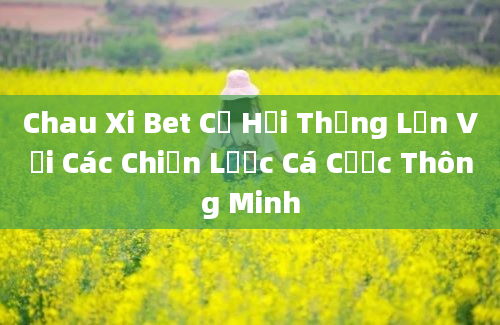 Chau Xi Bet Cơ Hội Thắng Lớn Với Các Chiến Lược Cá Cược Thông Minh