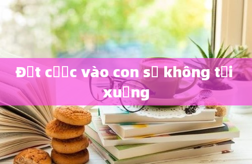 Đặt cược vào con số không tải xuống