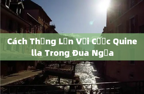 Cách Thắng Lớn Với Cược Quinella Trong Đua Ngựa