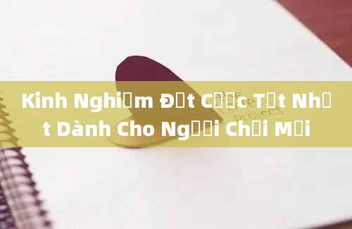 Kinh Nghiệm Đặt Cược Tốt Nhất Dành Cho Người Chơi Mới