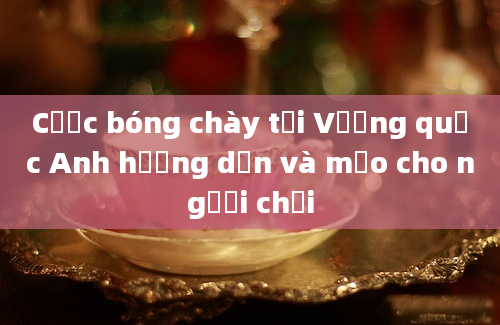 Cược bóng chày tại Vương quốc Anh hướng dẫn và mẹo cho người chơi