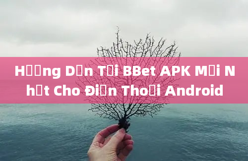 Hướng Dẫn Tải BBet APK Mới Nhất Cho Điện Thoại Android