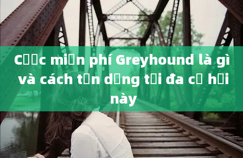 Cược miễn phí Greyhound là gì và cách tận dụng tối đa cơ hội này