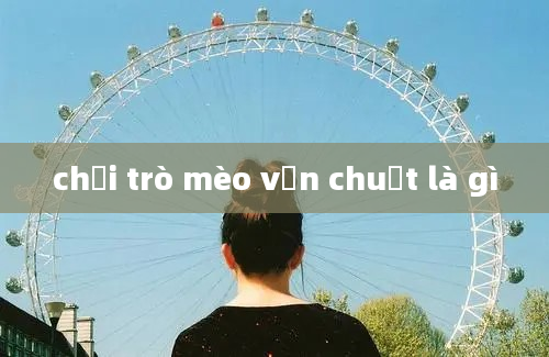 chơi trò mèo vờn chuột là gì