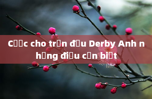 Cược cho trận đấu Derby Anh những điều cần biết