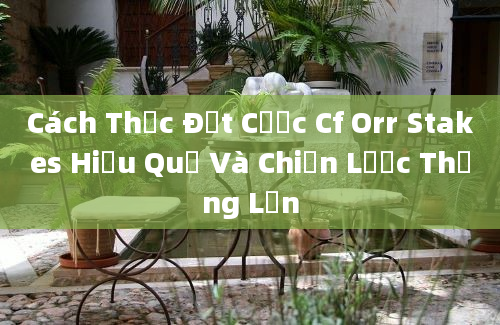 Cách Thức Đặt Cược Cf Orr Stakes Hiệu Quả Và Chiến Lược Thắng Lớn