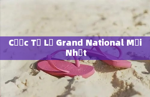 Cược Tỷ Lệ Grand National Mới Nhất