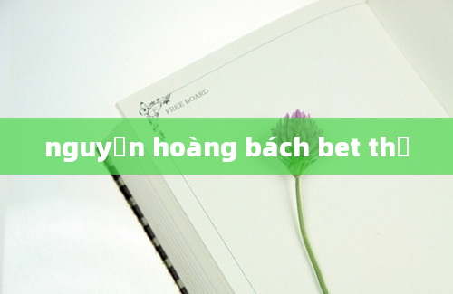 nguyễn hoàng bách bet thủ