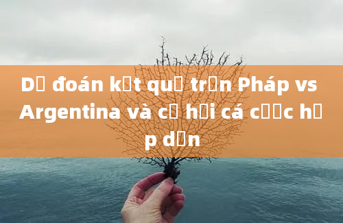 Dự đoán kết quả trận Pháp vs Argentina và cơ hội cá cược hấp dẫn