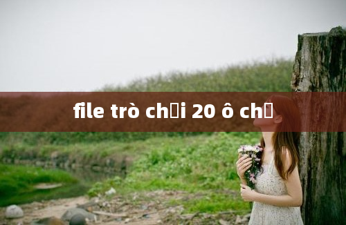 file trò chơi 20 ô chữ