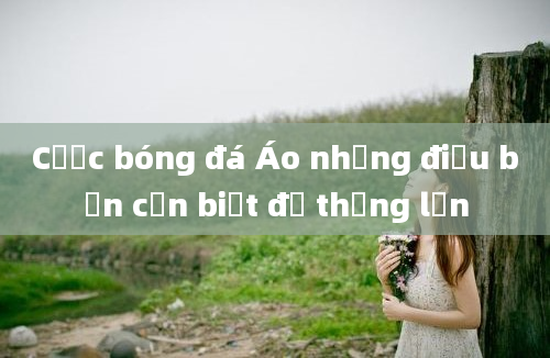 Cược bóng đá Áo những điều bạn cần biết để thắng lớn