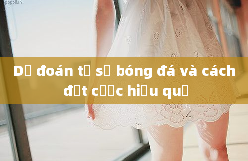 Dự đoán tỷ số bóng đá và cách đặt cược hiệu quả