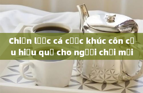 Chiến lược cá cược khúc côn cầu hiệu quả cho người chơi mới