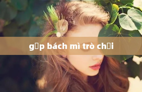 gấp bách mì trò chơi