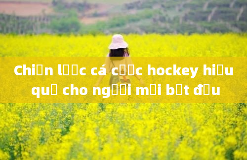 Chiến lược cá cược hockey hiệu quả cho người mới bắt đầu