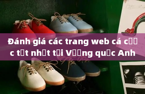 Đánh giá các trang web cá cược tốt nhất tại Vương quốc Anh