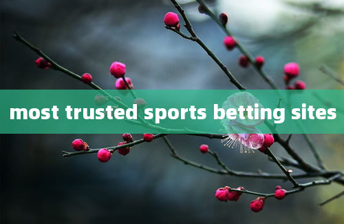 most trusted sports betting sites